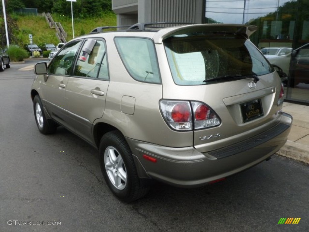 2003 RX 300 AWD - Burnished Gold Metallic / Ivory photo #3