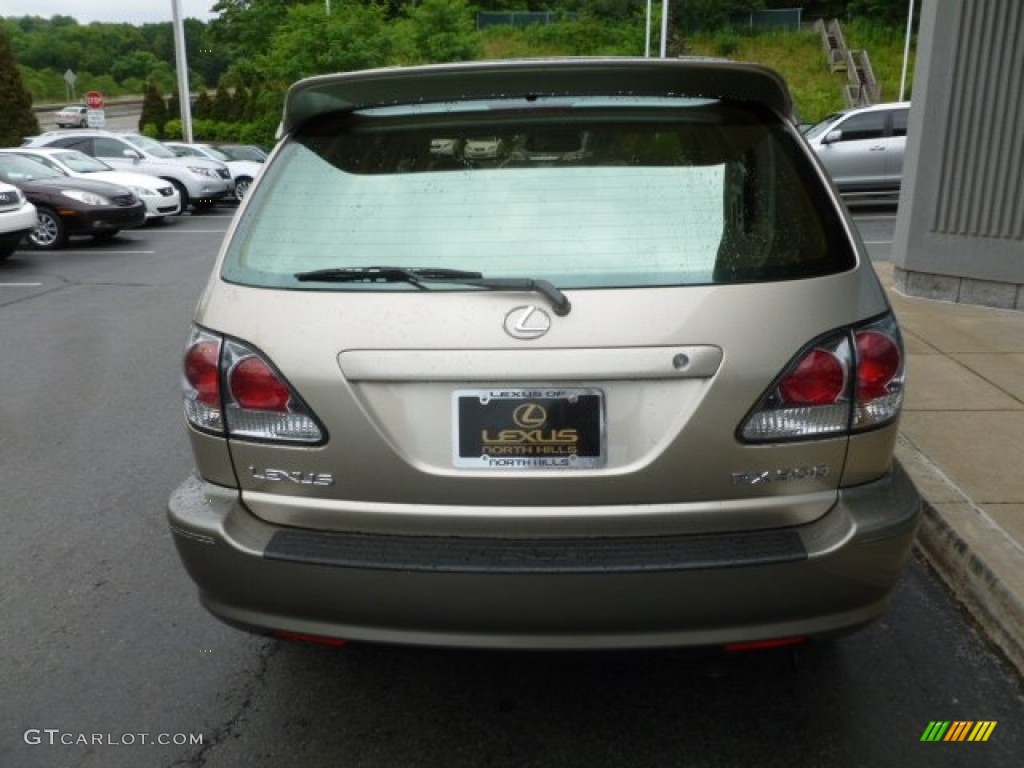 2003 RX 300 AWD - Burnished Gold Metallic / Ivory photo #4