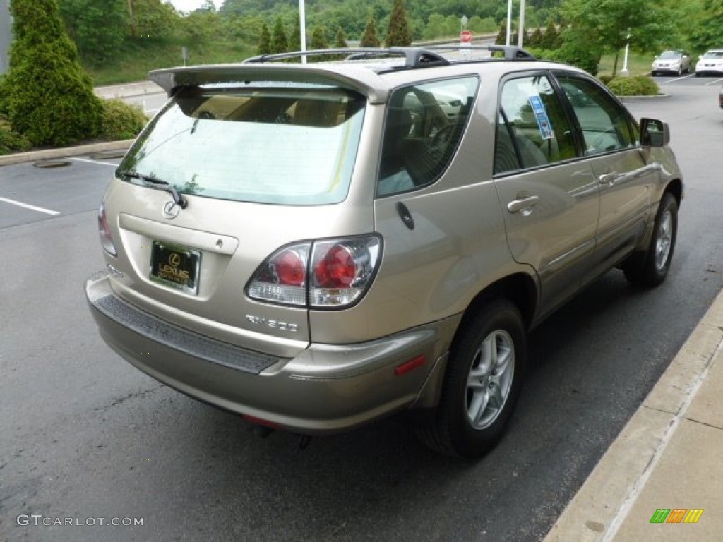 2003 RX 300 AWD - Burnished Gold Metallic / Ivory photo #5