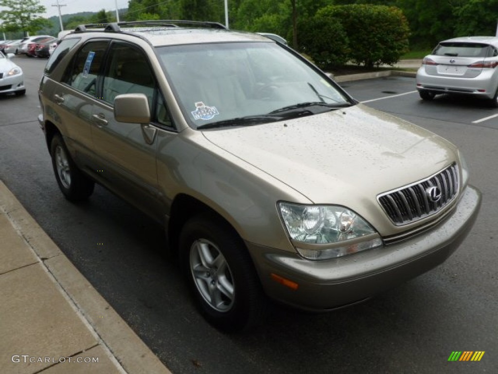2003 RX 300 AWD - Burnished Gold Metallic / Ivory photo #6