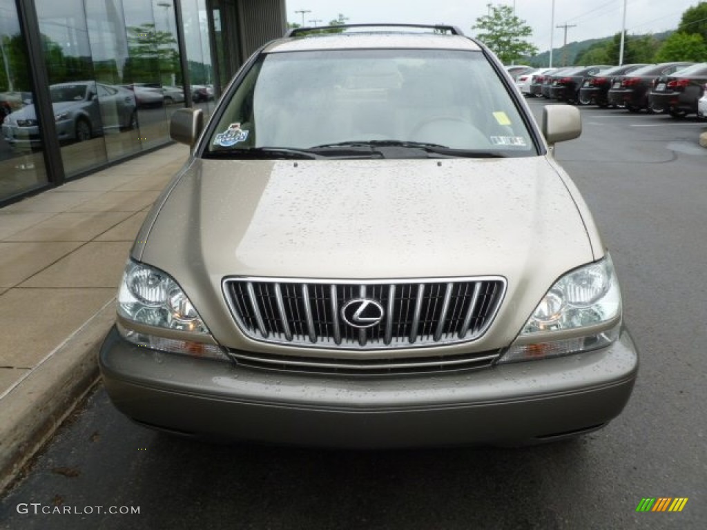 2003 RX 300 AWD - Burnished Gold Metallic / Ivory photo #7