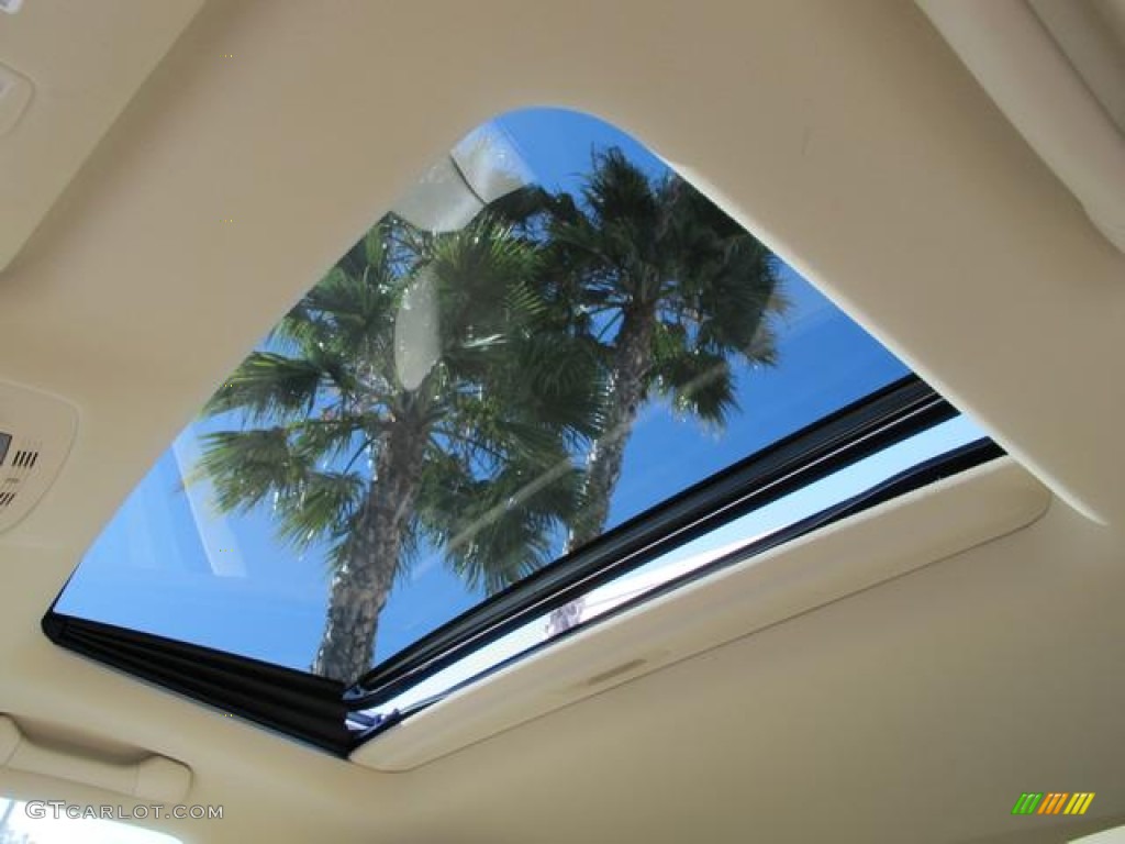 2010 Lexus RX 350 Sunroof Photos