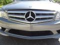 Palladium Silver Metallic - C 300 Luxury Photo No. 13