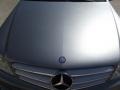 Palladium Silver Metallic - C 300 Luxury Photo No. 14