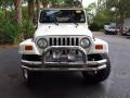 2002 Stone White Jeep Wrangler Sahara 4x4  photo #1