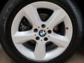 Titanium Silver Metallic - X5 3.0si Photo No. 13