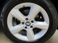 Titanium Silver Metallic - X5 3.0si Photo No. 14