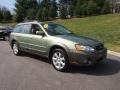 Willow Green Opalescent 2006 Subaru Outback 2.5i Limited Wagon Exterior