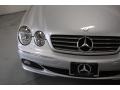 Brilliant Silver Metallic - CL 500 Photo No. 3