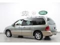Spruce Green Metallic - Freestar Limited Photo No. 5