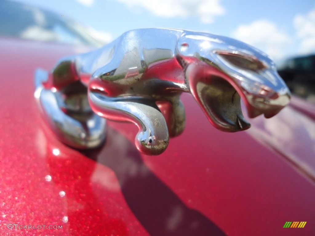 2004 Jaguar X-Type 3.0 Marks and Logos Photo #67102440