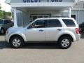 2010 Ingot Silver Metallic Ford Escape XLS 4WD  photo #4