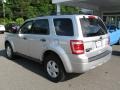 2010 Ingot Silver Metallic Ford Escape XLS 4WD  photo #5