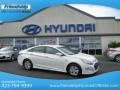 Porcelain White Pearl - Sonata Hybrid Photo No. 1