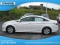 Porcelain White Pearl - Sonata Hybrid Photo No. 2