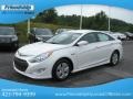 Porcelain White Pearl - Sonata Hybrid Photo No. 3