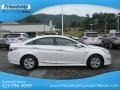 Porcelain White Pearl - Sonata Hybrid Photo No. 6