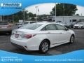 Porcelain White Pearl - Sonata Hybrid Photo No. 7