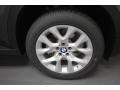 2013 Platinum Gray Metallic BMW X5 xDrive 35i Premium  photo #7