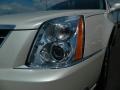 White Diamond Tricoat - DTS Luxury Photo No. 9