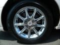 White Diamond Tricoat - DTS Luxury Photo No. 10