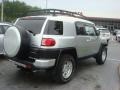 Titanium Metallic - FJ Cruiser  Photo No. 6