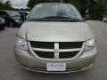 Linen Gold Metallic - Caravan SXT Photo No. 15