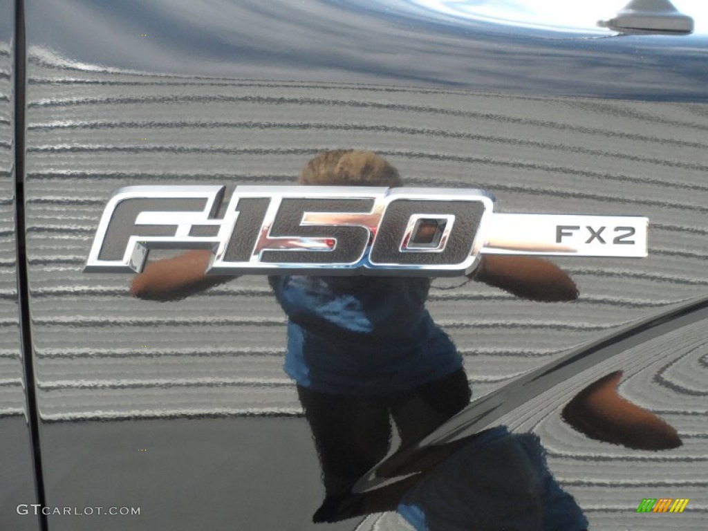 2010 F150 FX2 SuperCrew - Tuxedo Black / Black photo #14