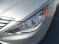 Radiant Silver - Sonata GLS Photo No. 8
