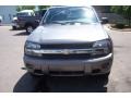 Graystone Metallic - TrailBlazer LS 4x4 Photo No. 2