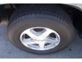 Graystone Metallic - TrailBlazer LS 4x4 Photo No. 25