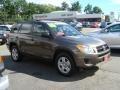 Pyrite Metallic - RAV4 I4 4WD Photo No. 1
