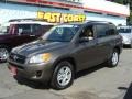 Pyrite Metallic - RAV4 I4 4WD Photo No. 3