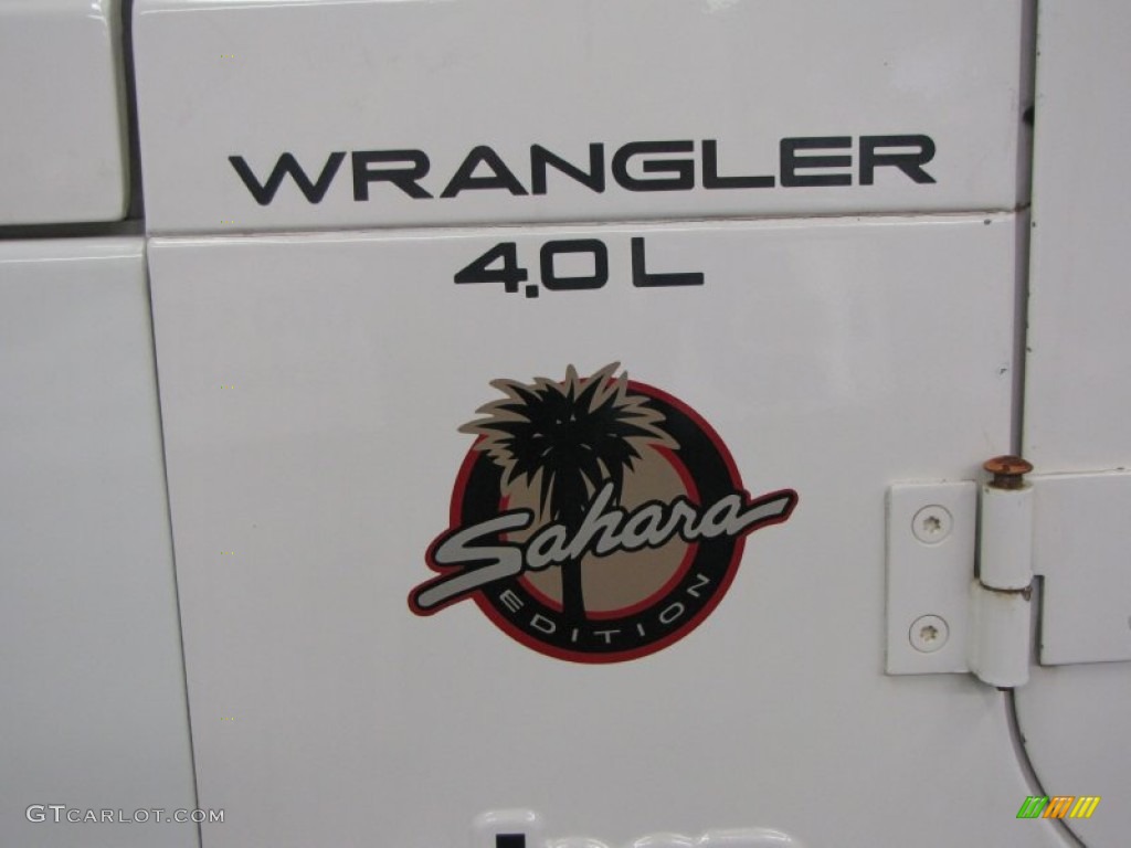 2000 Wrangler Sahara 4x4 - Stone White / Camel/Dark Green photo #32