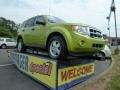 Lime Squeeze Metallic 2012 Ford Escape XLT 4WD