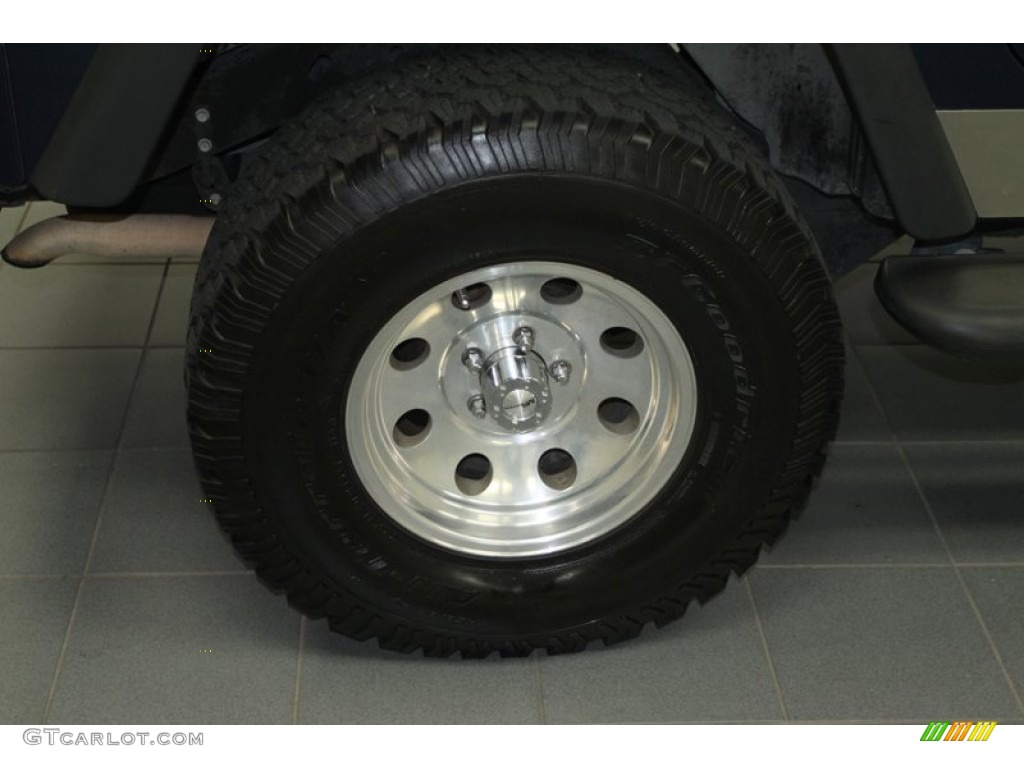 2004 Wrangler X 4x4 - Patriot Blue Pearl / Dark Slate Gray photo #22
