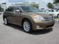 Golden Umber Mica 2010 Toyota Venza I4 Exterior