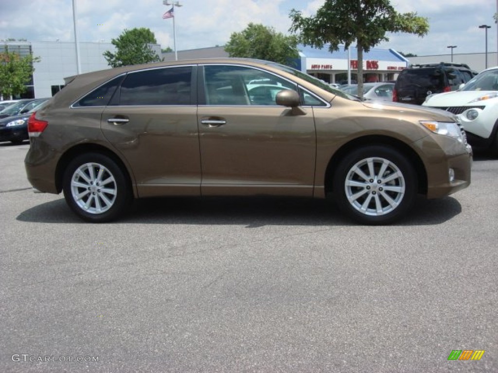 Golden Umber Mica 2010 Toyota Venza I4 Exterior Photo #67169468