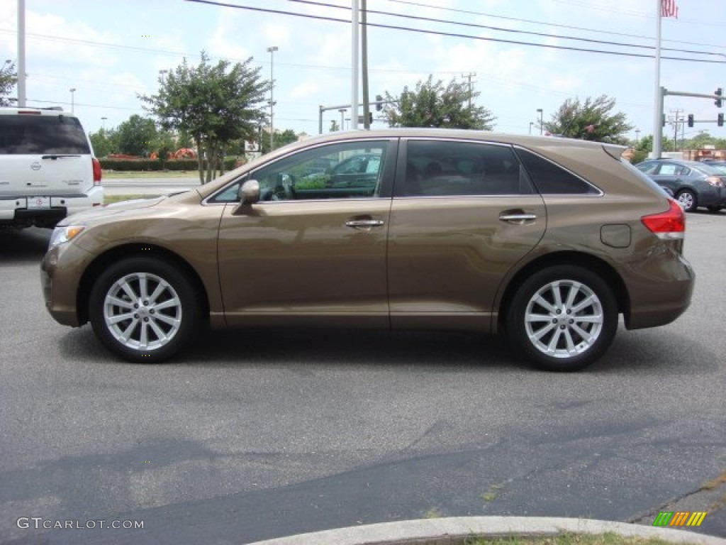 Golden Umber Mica 2010 Toyota Venza I4 Exterior Photo #67169501