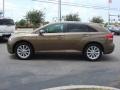 Golden Umber Mica 2010 Toyota Venza I4 Exterior