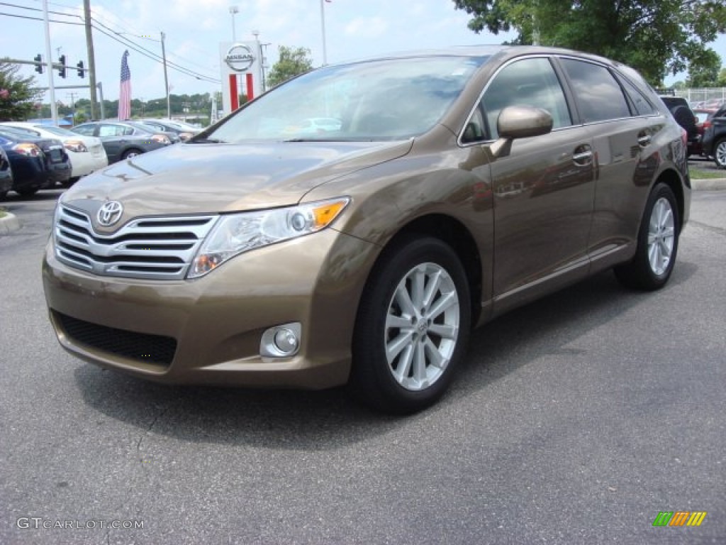 Golden Umber Mica 2010 Toyota Venza I4 Exterior Photo #67169510