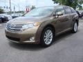 Golden Umber Mica 2010 Toyota Venza I4 Exterior