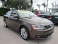 2011 Toffee Brown Metallic Volkswagen Jetta SEL Sedan  photo #7