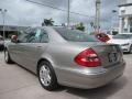 Pewter Metallic - E 320 Sedan Photo No. 3
