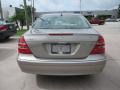 Pewter Metallic - E 320 Sedan Photo No. 4