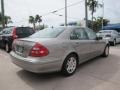 Pewter Metallic - E 320 Sedan Photo No. 5