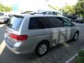 Alabaster Silver Metallic - Odyssey EX Photo No. 4