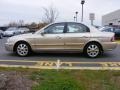 Cream Gold - Optima EX V6 Photo No. 27