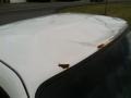 Oxford White - Ranger Edge Regular Cab Photo No. 6