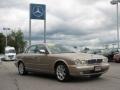Topaz Metallic - XJ Vanden Plas Photo No. 3